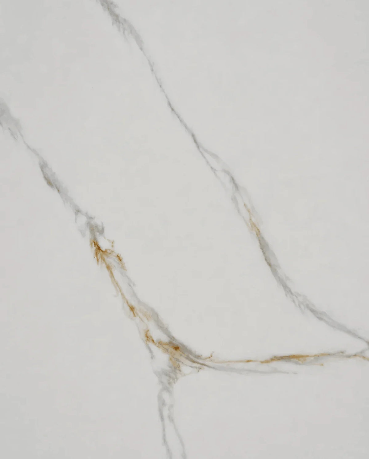 Close-up of Calacatta Vittoria Quartz with elegant gray veining and warm gold accents on a white background