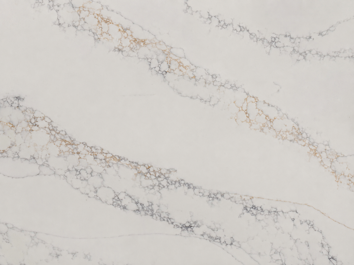 Close-up of Calacatta Bellagio Quartz showing intricate gray and gold veining on a white surface