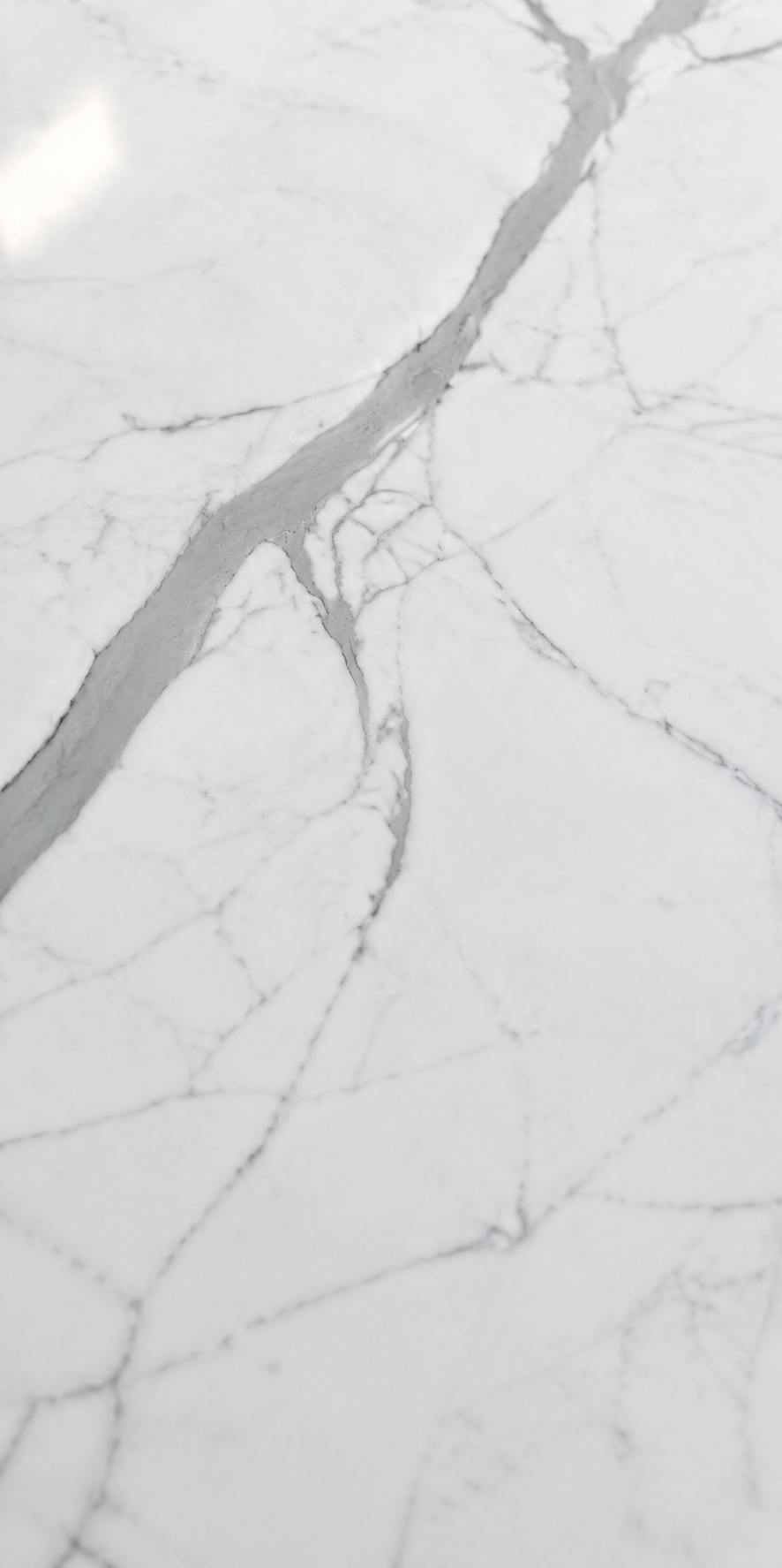 Close-up of Statuario Norwell Face A in Polished finish with a bold cool-gray ribbon on a white field
