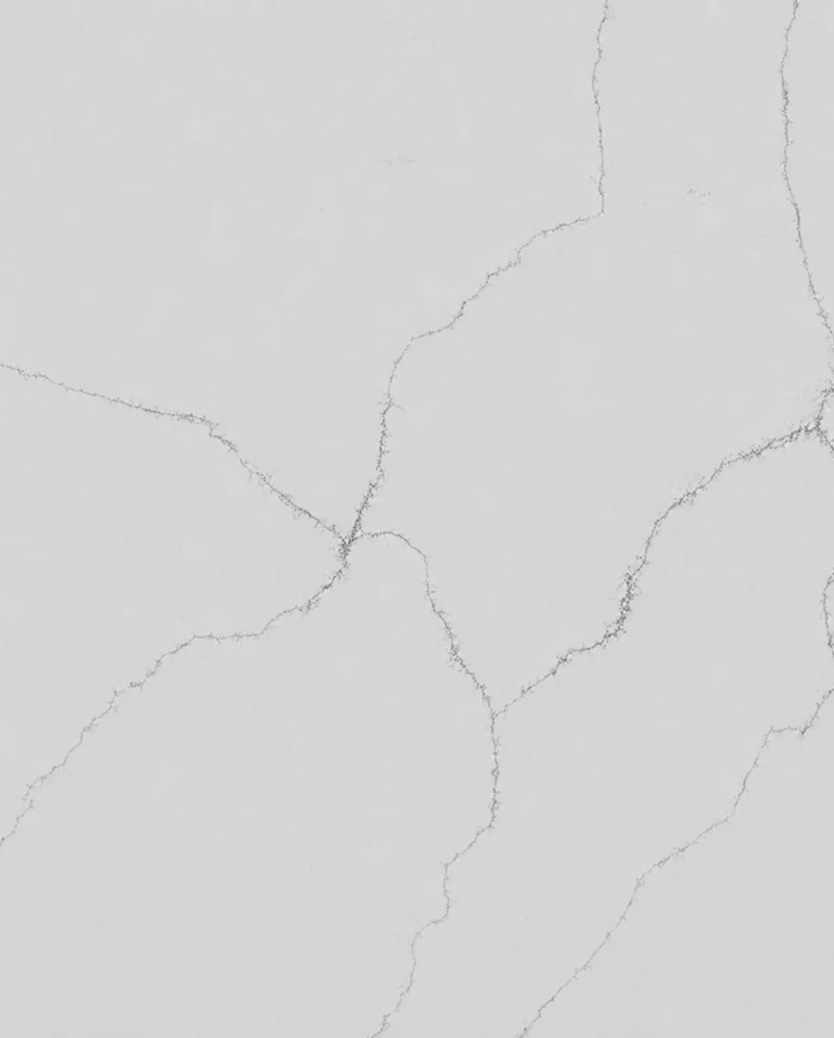 Calacatta Everest Quartz surface with a bright white background and fine gray branching veins