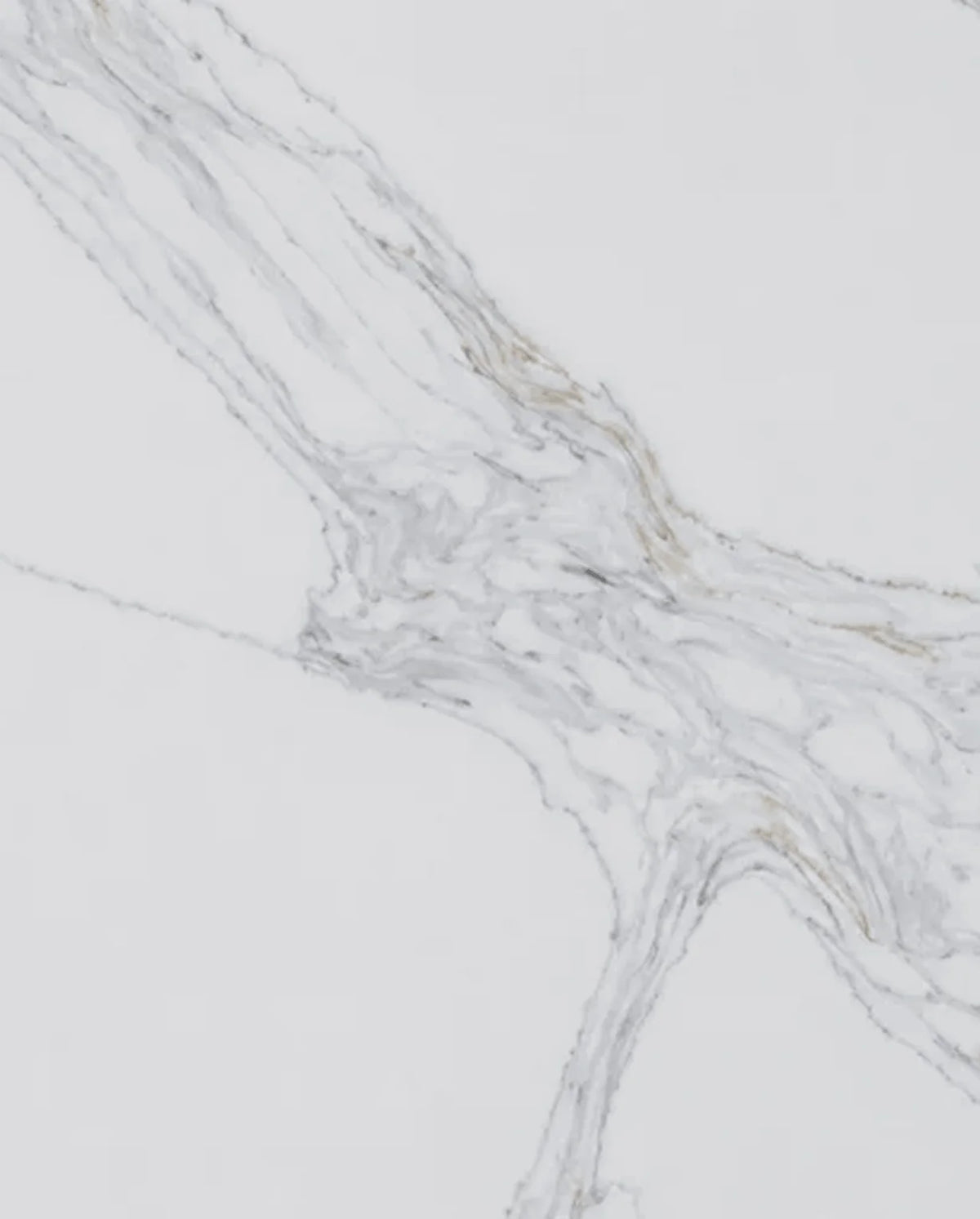 Calacatta Sorello Quartz surface with a bright white background and dramatic gray veining with subtle gold accents