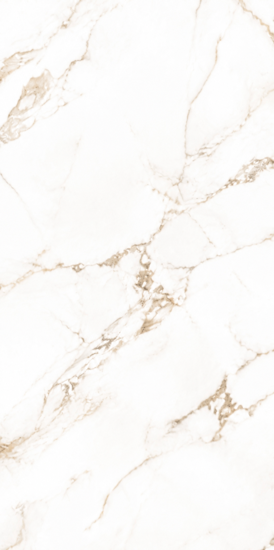 Close-up of Calacatta Macchia Vecchia porcelain with warm taupe veining on a soft ivory-white background