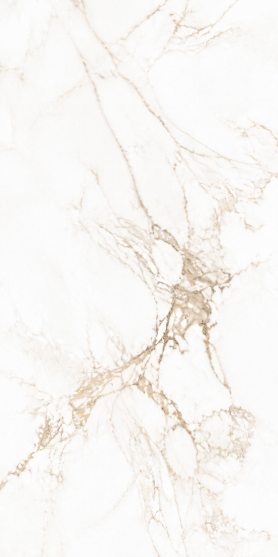 Detailed branching greige and beige veining on Calacatta Macchia Vecchia porcelain Slab B