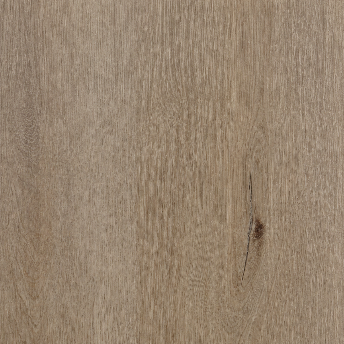 Natural Haven SPC flooring close-up showing fine oak grain and a restrained natural knot